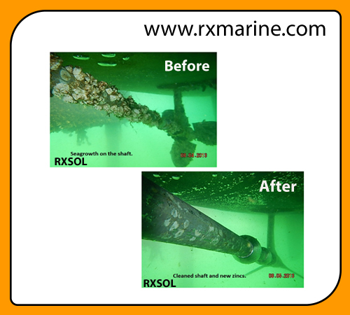 Boat Cleaner
